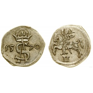 Pologne, dwudenar, 1570, Vilnius