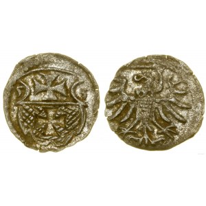 Poland, denarius, 1555, Elbląg