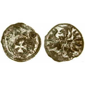 Poland, denarius, 1556, Elbląg