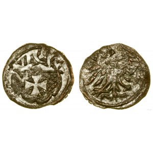 Poland, denarius, 1557, Elbląg