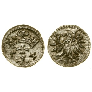 Pologne, denier, 1554, Gdansk