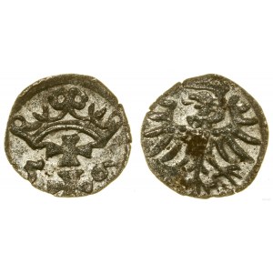 Polonia, denario, 1556, Danzica