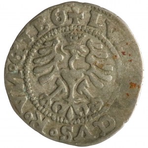 Ludwik Jagiellończyk, halber Pfennig, 1526, Świdnica