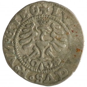 Louis Jagiellonian, half-penny, 1526, Swidnica