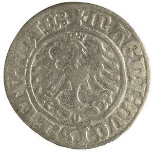 Zikmund I. Starý, litevský půlpenny, 1509