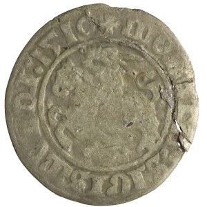 Sigismund I. der Alte, litauischer Halbpfennig, 1510