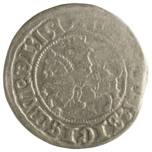 Sigismond Ier le Vieux, demi-penny lituanien, 1510, Vilnius