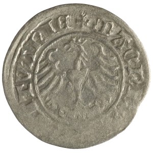 Sigismund I. der Alte, litauischer Halbpfennig, 1510, Vilnius