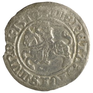 Sigismond Ier le Vieux, demi-penny lituanien, 1510