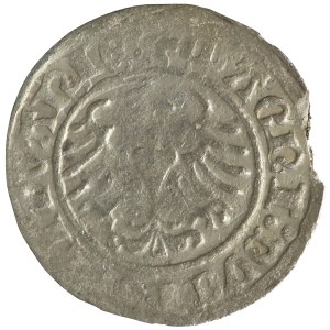 Sigismond Ier le Vieux, demi-penny lituanien, 1510