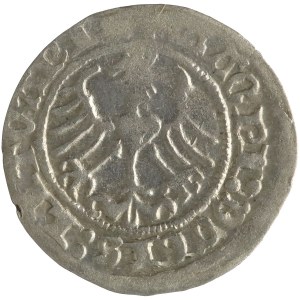 Sigismond Ier l'Ancien, demi-penny lituanien, 1511