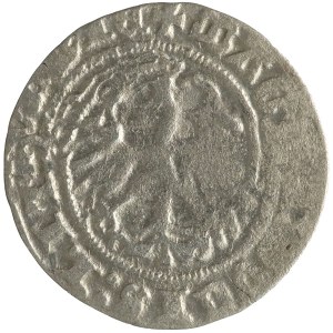 Zygmunt I Stary, półgrosz litewski, 1511