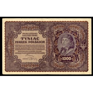 Tysiąc Marek Polskich, 1919