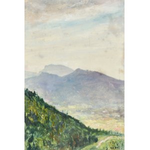 Irena WEISS - ANERI (1888-1981), Mountain Landscape