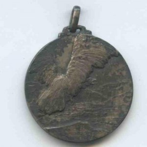Intendency Medal of the Armies of Grappa and the Plateaus 1910