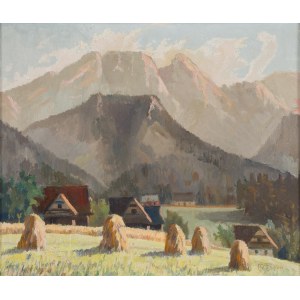 Franciszek Wójcik, Tatra Landscape