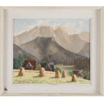 Franciszek Wójcik, Tatra-Landschaft