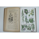 [CZARNOWSKI AUGUST] Herbarium lekarski czyli opis 125 ziół z podaniem ich uprawy i zastosowania [1912].