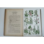 [CZARNOWSKI AUGUST] Herbarium lekarski czyli opis 125 ziół z podaniem ich uprawy i zastosowania [1912].