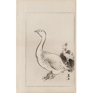 Watanabe Seitei (1851-1918), Dzika gęś, Tokio, 1891