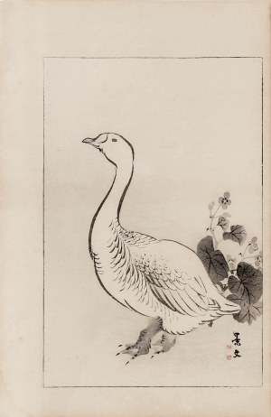 Watanabe Seitei (1851-1918), Dzika gęś, Tokio, 1891