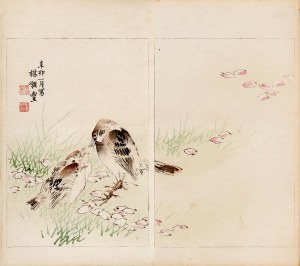 Watanabe Seitei (1851-1918), Ptaki, Tokio, 1891