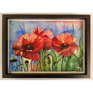 Anna Lenart, Poppies, 2024