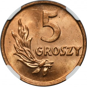 5 groszy 1949 - NGC MS63 RD