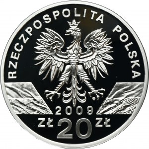 20 złotych 2009 Jaszczurka Zielona