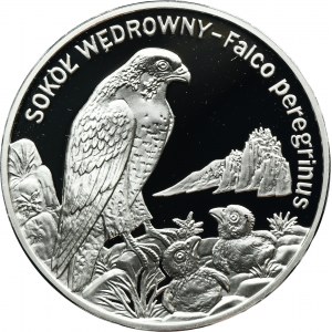 20 złotych 2008 Sokół