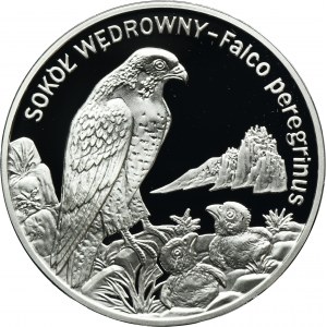 20 złotych 2008 Sokół