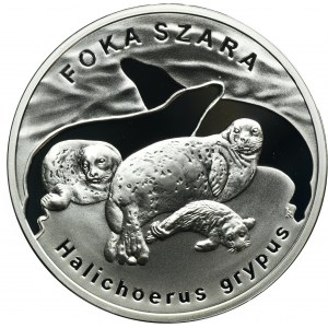 20 Gold 2007 Grey Seal