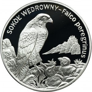 20 złotych 2008 Sokół