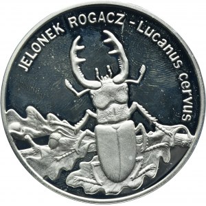20 Oro 1997 Cervo Hornbill