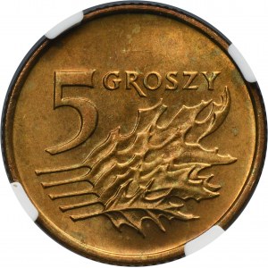 5 pennies 1990 - NGC MS65