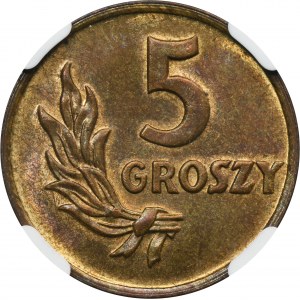 5 pennies 1949 Bronze - NGC MS63 BN