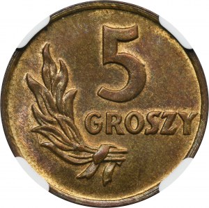 5 pennies 1949 Bronze - NGC MS63 BN