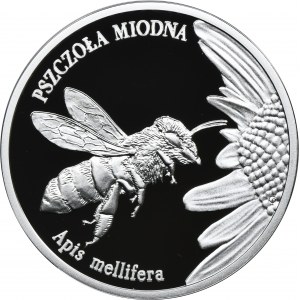 20 złotych 2015 Pszczoła Miodna
