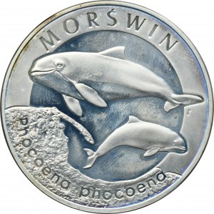 20 złotych 2004 Morświn