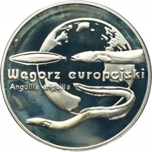 20 Zlato 2003 Úhoř evropský