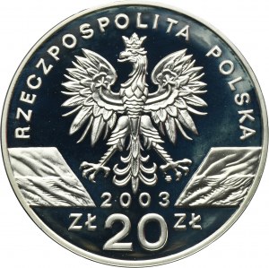 20 Oro 2003 Anguilla europea