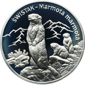 20 złotych 2006 Świstak