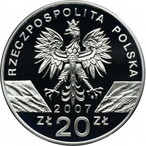 20 złotych 2007 Foka Szara