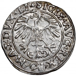 Zygmunt II August, Półgrosz 1556 Wilno - LI/LITVA