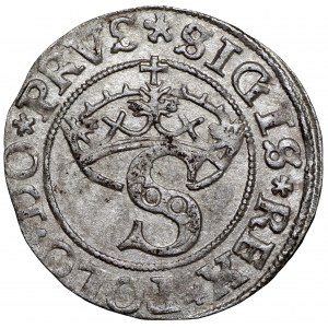 Zygmunt I Stary, Szeląg 1531 Toruń - PRVS/PRVSSIE