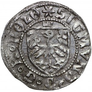 Zygmunt I Stary, Szeląg 1525 Gdańsk 