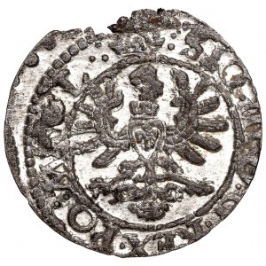 Zygmunt III Waza, Szeląg 1623 Wilno