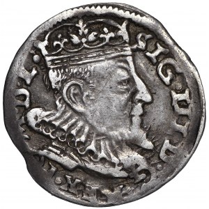 Zygmunt III Waza, Trojak 1593 Wilno - hybryda