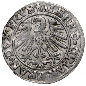Prusy Książęce, Albrecht Hohenzollern, Grosz 1546 Królewiec