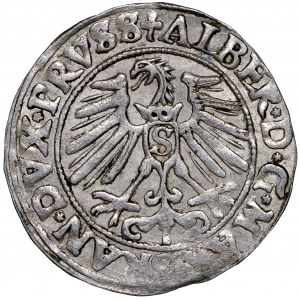 Prusy Książęce, Albrecht Hohenzollern, Grosz 1550 Królewiec